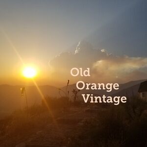 WELCOME to 🍊 Old Orange Vintage 🍊